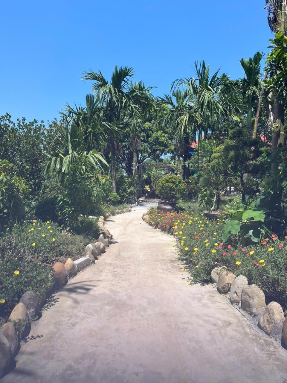 The Green House Homestay Ninh Binh Esterno foto