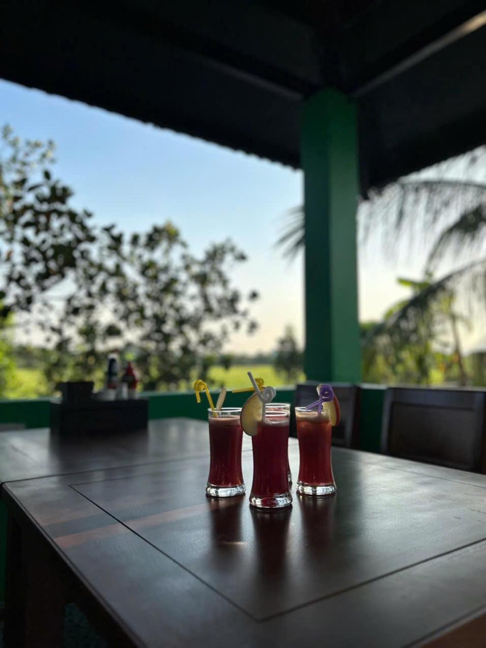 The Green House Homestay Ninh Binh Esterno foto